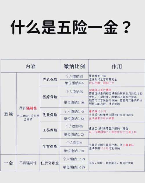 新成立公司暂未交五险一金怎么办？-图1