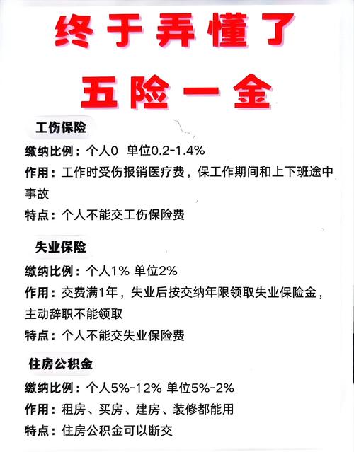 新成立公司暂未交五险一金怎么办？-图2