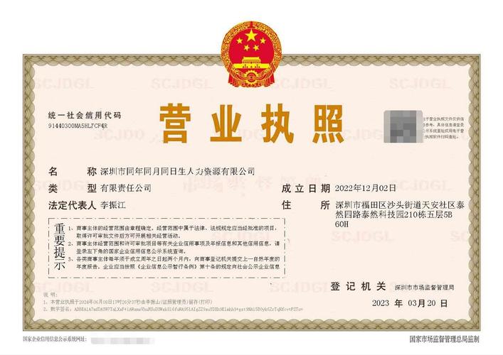 深圳市人力资源公司官网提供哪些服务？-图2