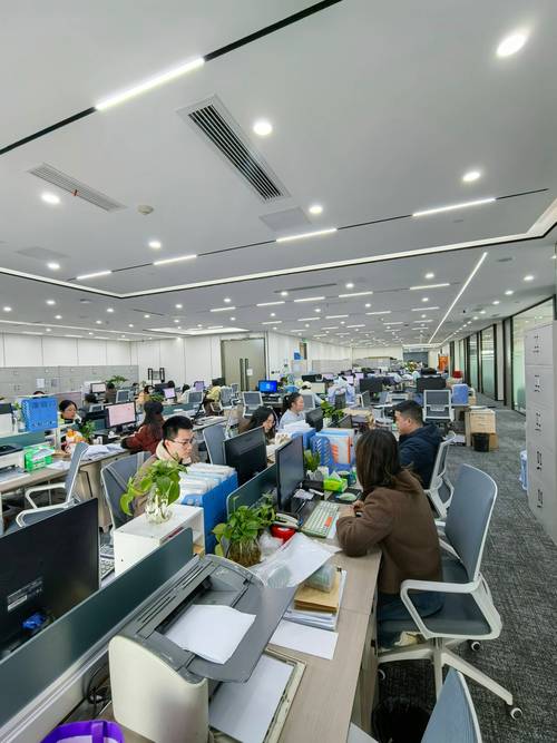 安徽省外资企业服务公司有何优势？-图1