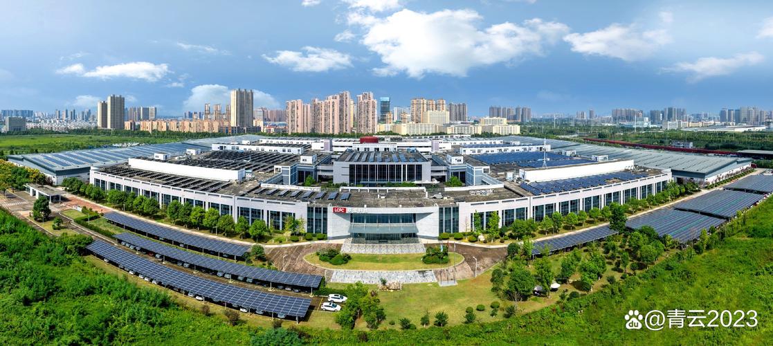 安徽省外资企业服务公司有何优势？-图2