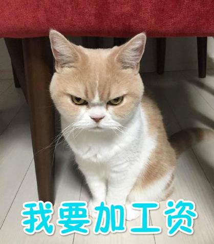 公司普加工资，为何唯独我没加？-图1