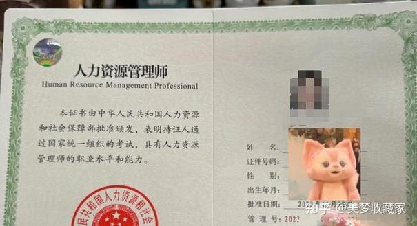 人力资源管理师挂靠公司，风险与收益如何权衡？-图2