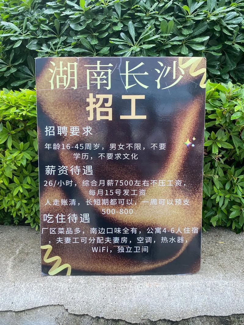 武汉花山招聘有哪些岗位？-图3