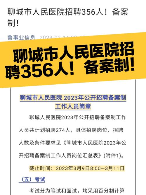 聊城市招聘有哪些岗位和要求？-图3