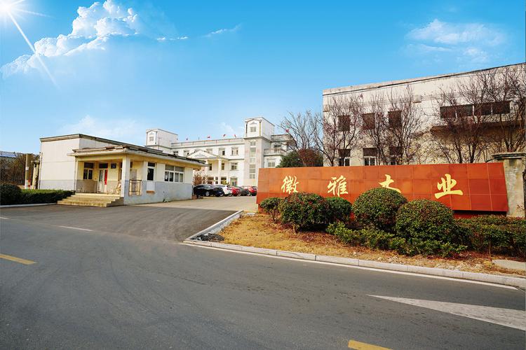 新佐成人力资源公司提供哪些服务？-图1