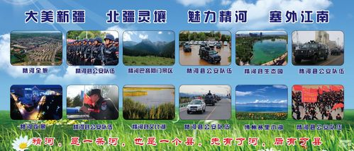 精河县招聘信息有哪些岗位？-图1