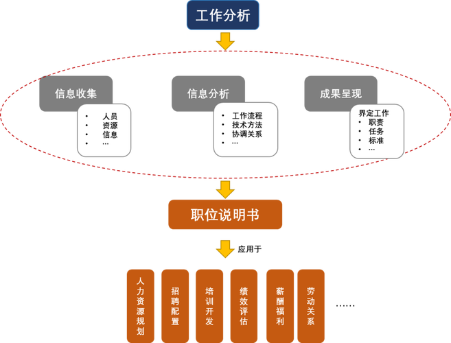 大公司HR具体负责哪些核心工作？-图2