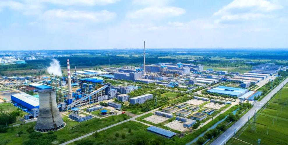 赛得利招聘有哪些岗位和要求？-图2