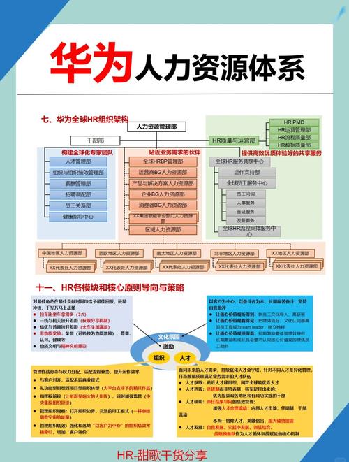 上市公司如何建设高效人力资源体系？-图2
