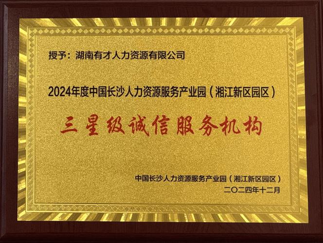 长沙十大人力资源公司哪家强？-图3
