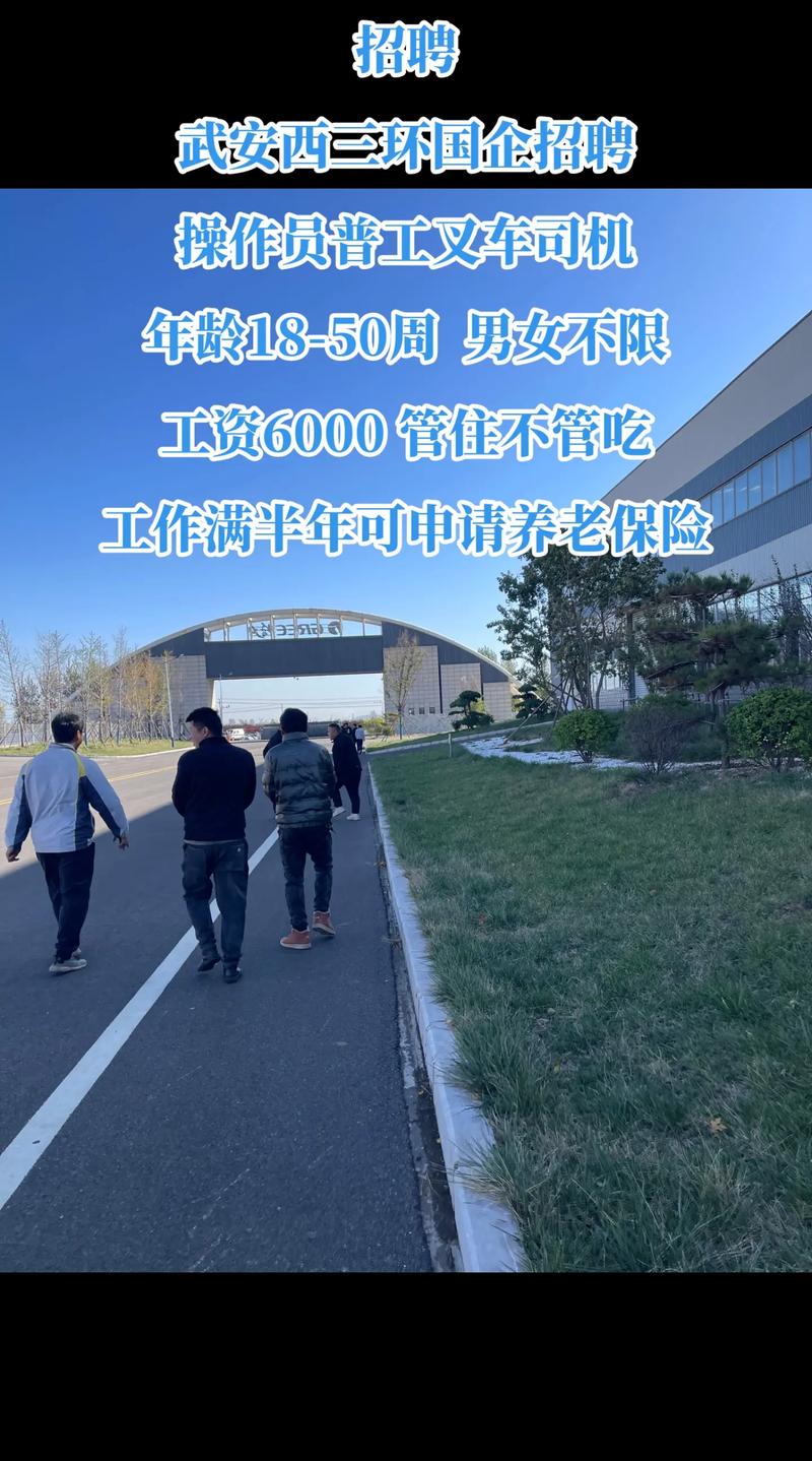 武安市招聘有哪些岗位和要求？-图1