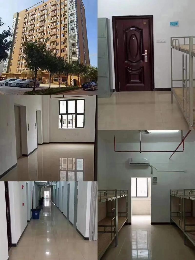 同兴达招聘-图2