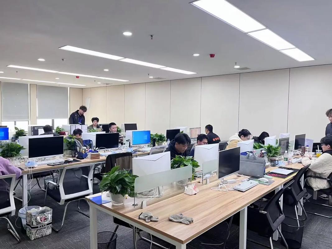 新上人力资源有限公司-图2