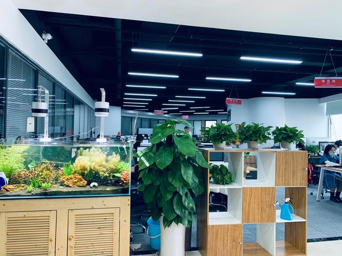 易上人力资源有限公司-图3