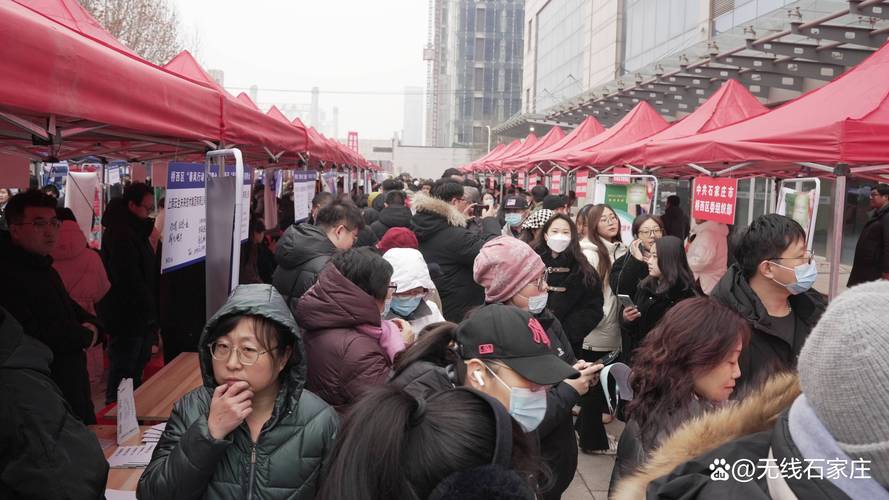 石家庄桥西区招聘有哪些岗位？-图3