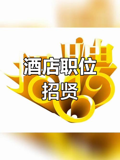 维也纳国际酒店招聘-图2