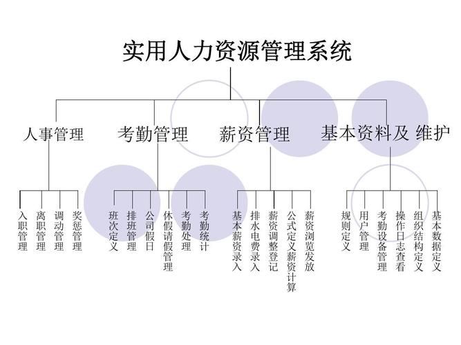公司的人力资源网有何独特价值？-图3