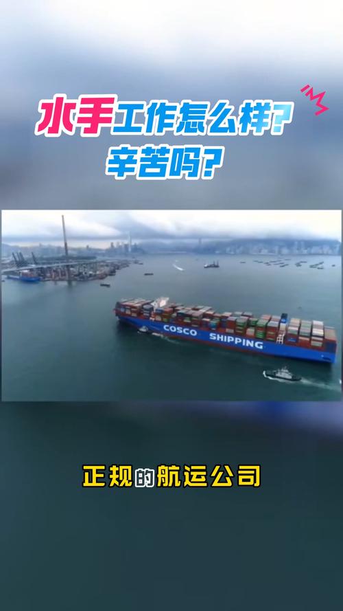 国际海员招聘-图1