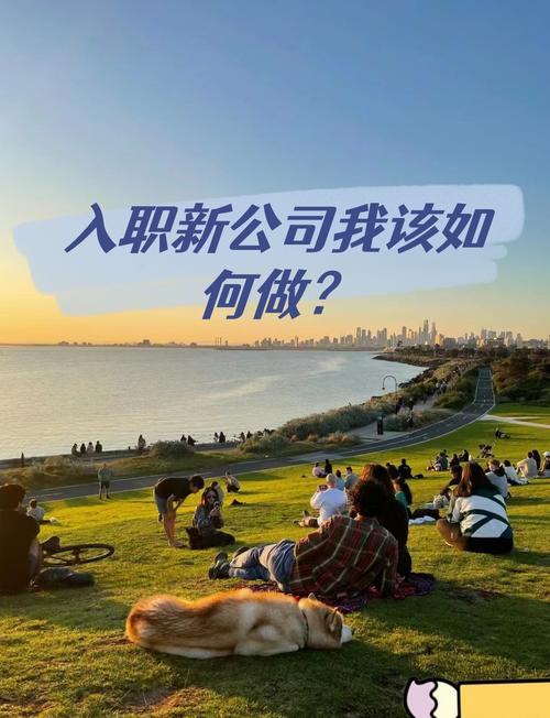 进了一家新开的公司工作-图3