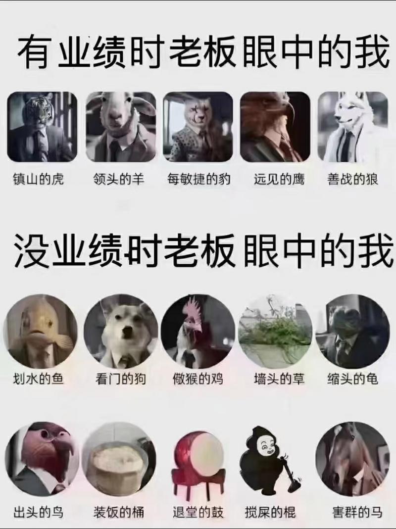前老板问现公司业绩，该不该如实说？-图2