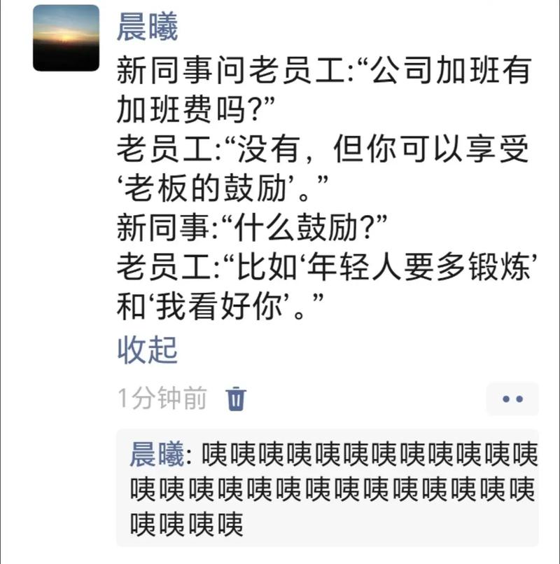 问公司你们的新员工多吗-图1