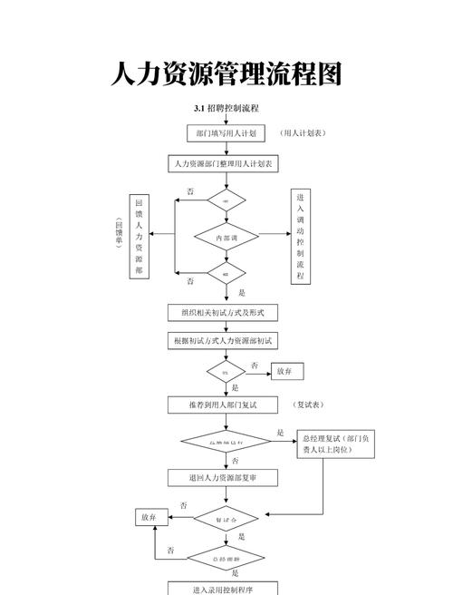 某公司人力资源管理优化-图1