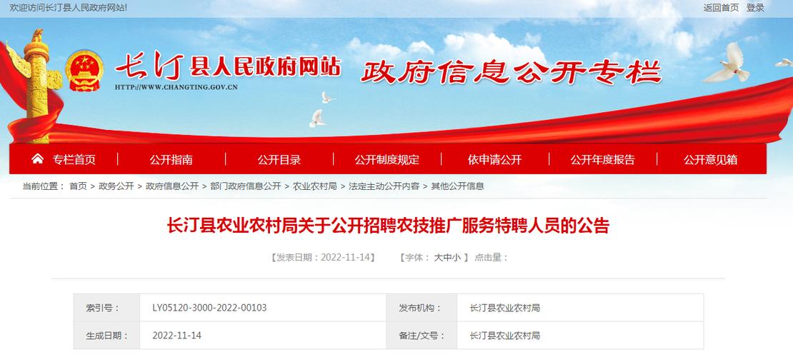 长汀最新招聘信息有哪些岗位？-图2