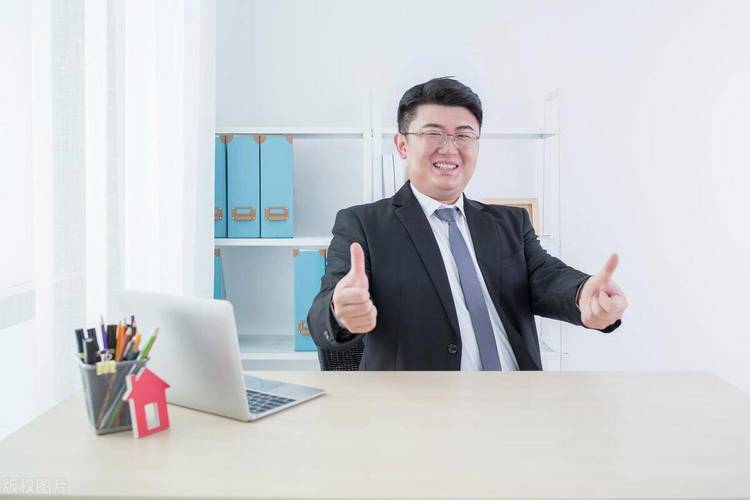 大公司的人力资源经理-图2 大公司的人力资源经理-图2