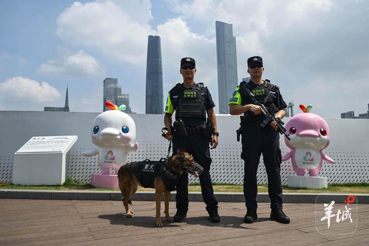 深圳巡防招聘条件有哪些？-图3