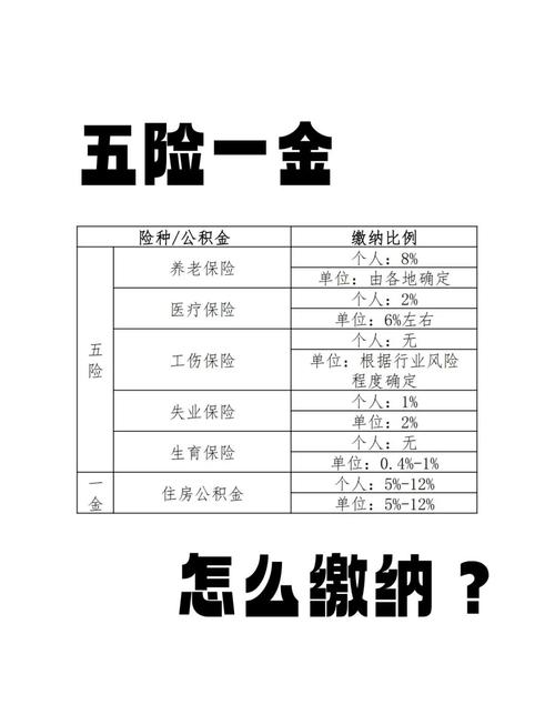 办公司代缴五险一金-图2