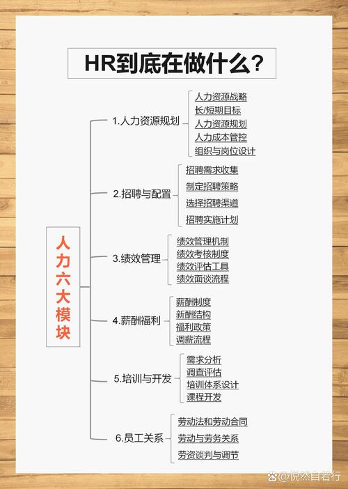 人力资源的核心管理职责是什么？-图1