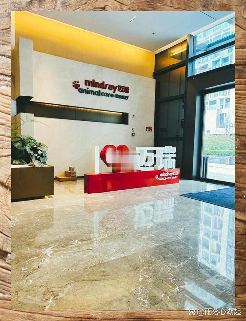 深圳迈瑞招聘有何岗位要求？-图2