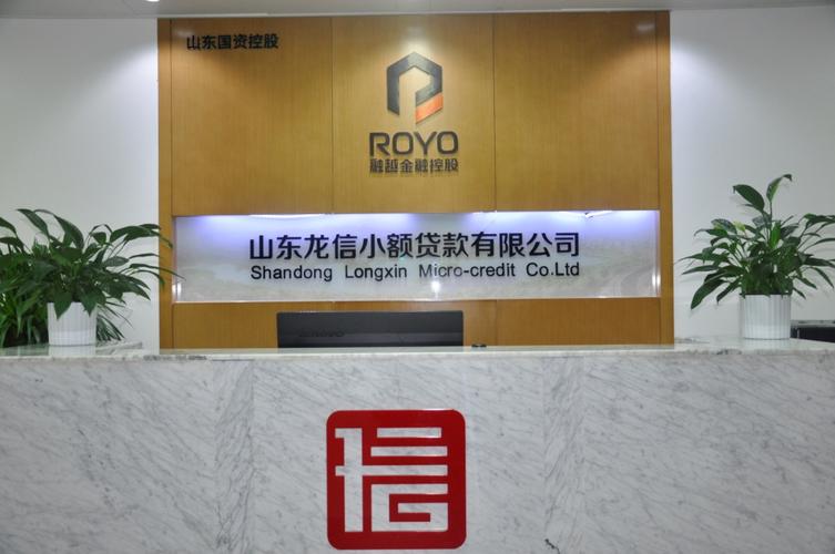 龙信公司小额贷款可靠吗-图1