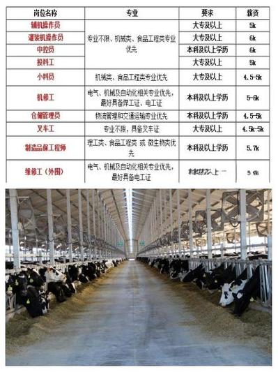 伊利奶粉招聘,具体岗位和要求是什么?-图2 伊利奶粉招聘,具体岗位和要求是什么?-图2