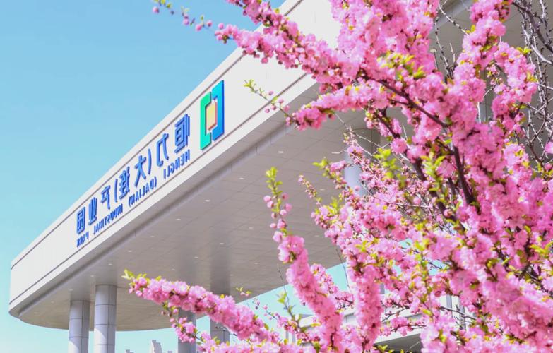 大连恒力招聘哪些岗位?-图3 大连恒力招聘哪些岗位?-图3