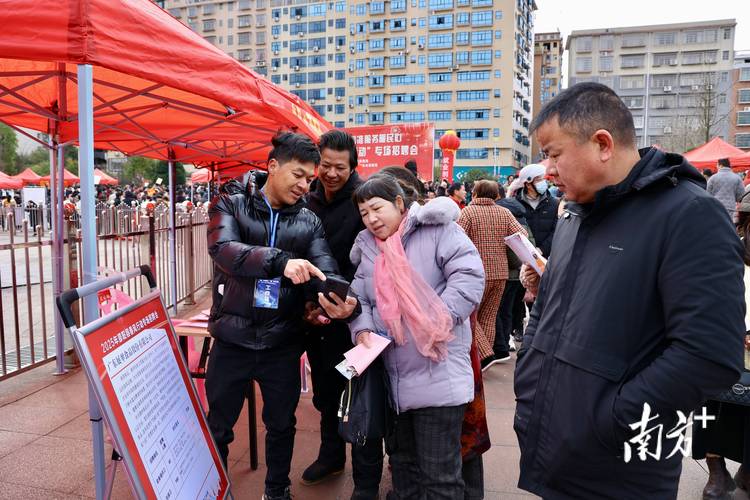 郴州招聘有哪些岗位和要求?-图3 郴州招聘有哪些岗位和要求?-图3