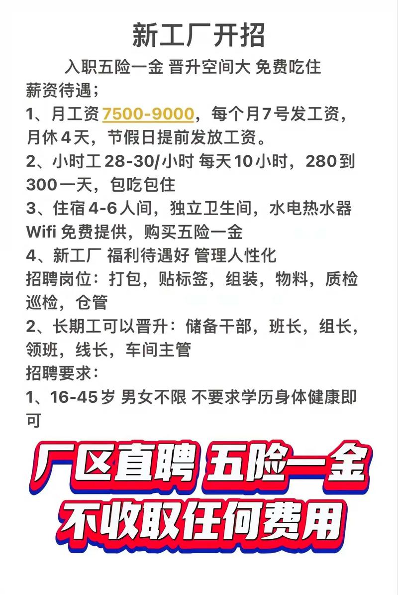 在哪里看招聘信息-图3