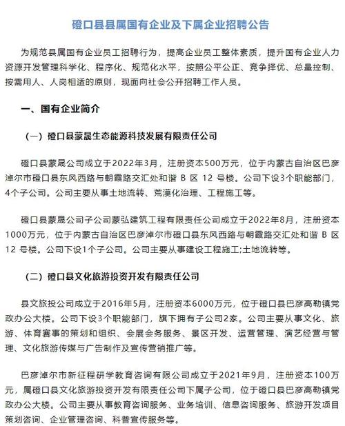 磴口有哪些最新招聘岗位?-图2 磴口有哪些最新招聘岗位?-图2