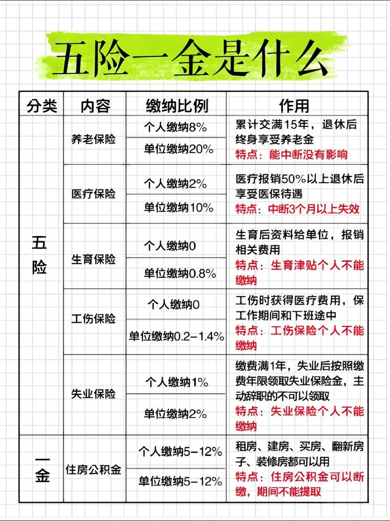 软件外包公司五险一金怎么交？-图1