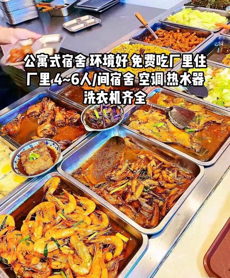 大唐电厂招聘，有哪些岗位要求？-图1