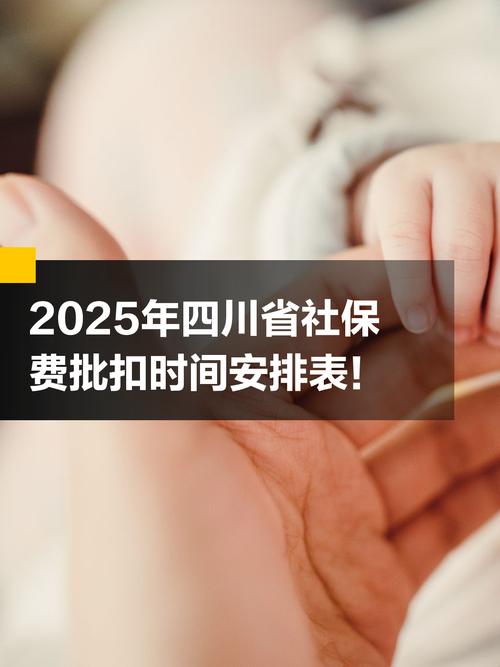 四川公司社保扣款到底由谁负责？-图2