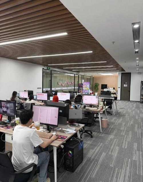 沪上人力资源有限公司有何独特优势？-图1