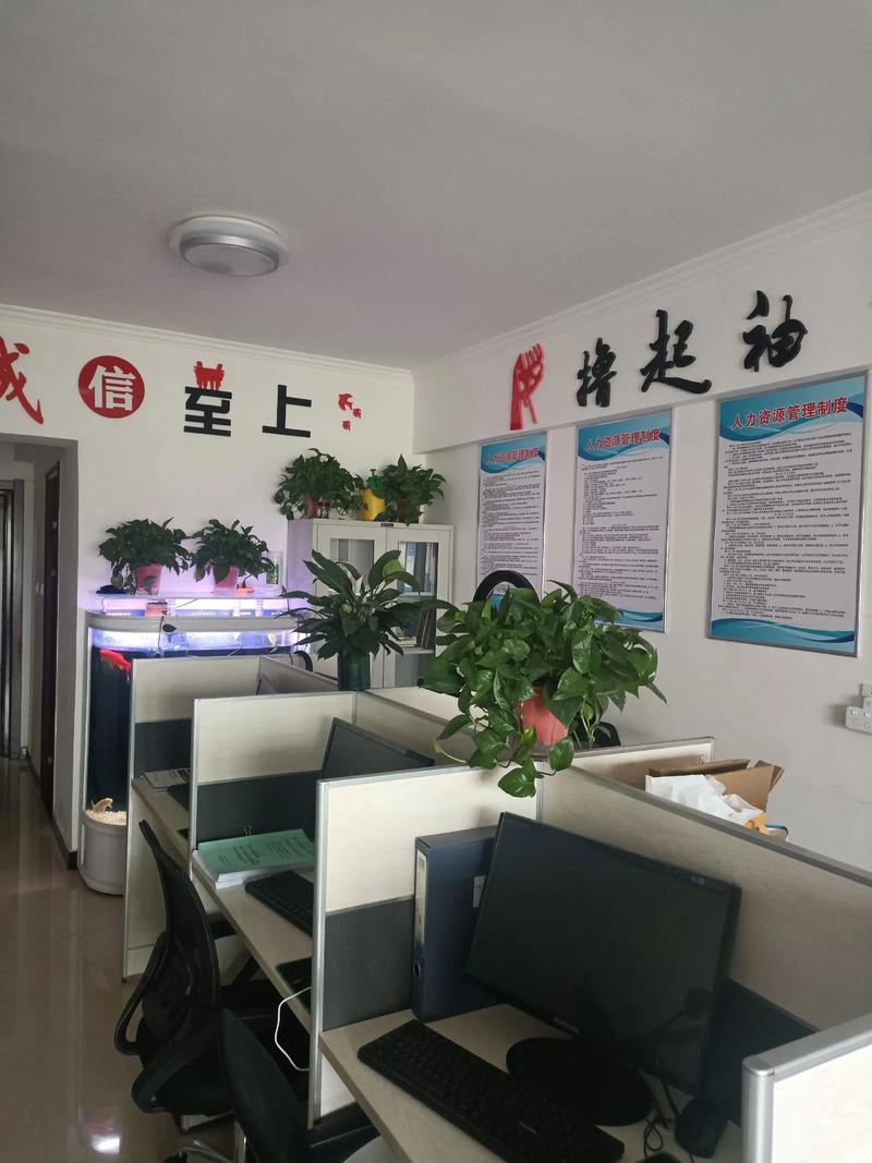 沪上人力资源有限公司有何独特优势？-图2