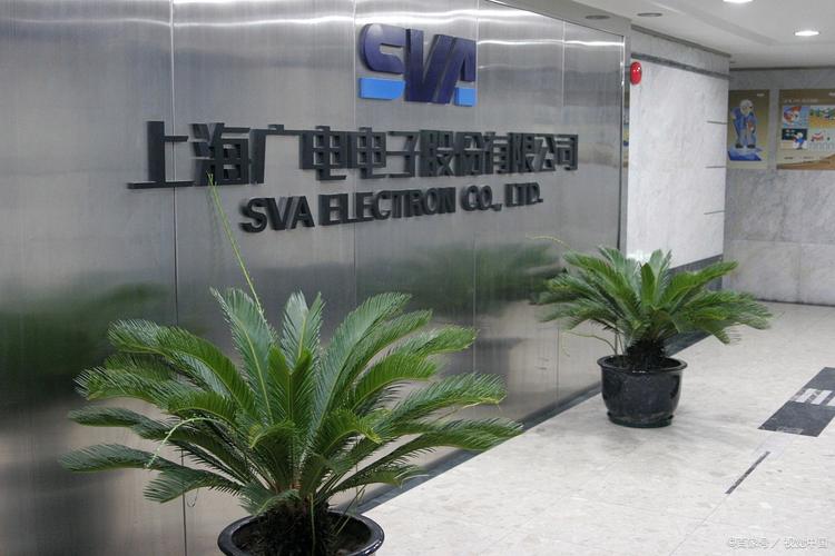 沪上人力资源有限公司有何独特优势？-图3