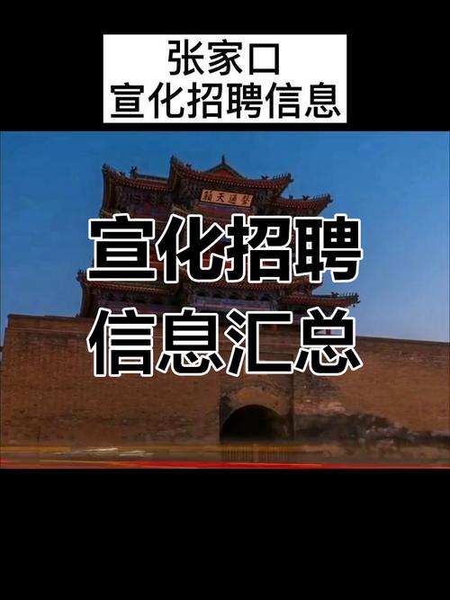 张家口宣化招聘有哪些岗位和要求？-图1