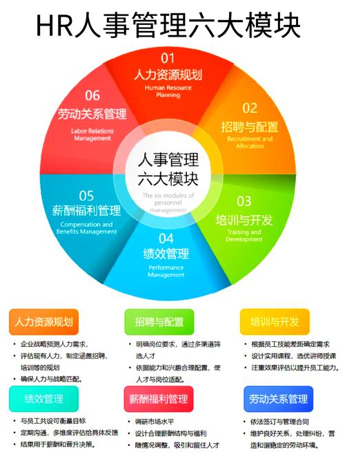 国内有哪些靠谱的人力资源公司？-图1