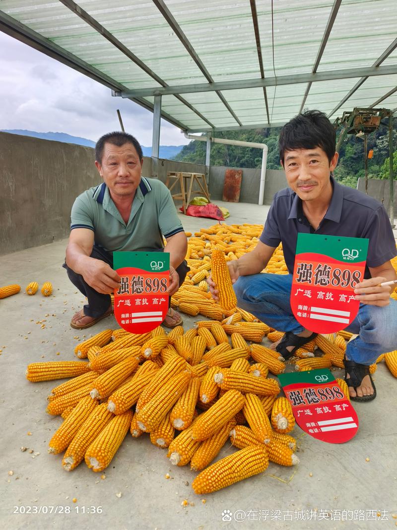 合川农投公司待遇究竟如何？-图1