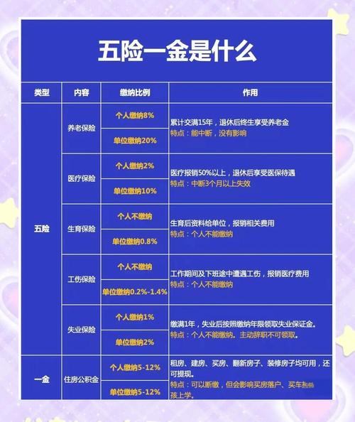 哪些公司可代缴五险？-图1