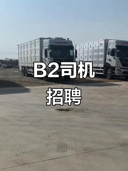 深圳货车司机招聘,薪资待遇如何?-图1 深圳货车司机招聘,薪资待遇如何?-图1